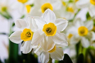 《华纳大乱斗》总监：跳票并非受到华纳合并影响